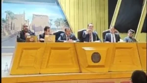 الحصر العددي لأصوات الناخبين في دائرة بندر ومركز الأقصر يحدد رسمياً توزيع الأصوات الانتخابية